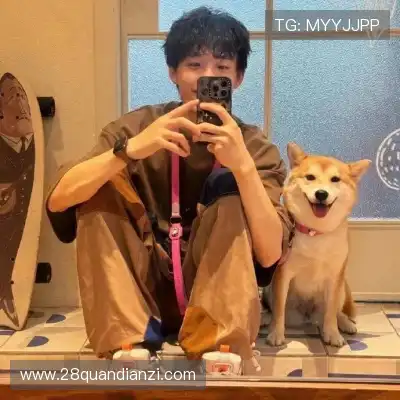 薄霜凤